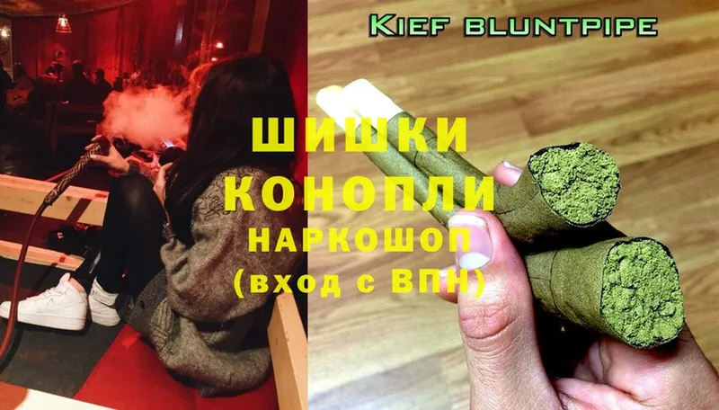 Бошки Шишки SATIVA & INDICA  продажа наркотиков  Камышлов 